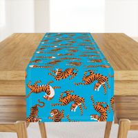 Tigers Dancing on Blue Background and Orange Animal Print Champs on Fading or Gradient Background