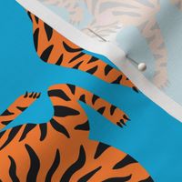 Tigers Dancing on Blue Background and Orange Animal Print Champs on Fading or Gradient Background