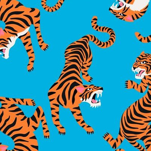 Tigers Dancing on Blue Background and Orange Animal Print Champs on Fading or Gradient Background