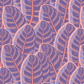 Large tropical leaves. Purple with pink