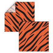 Tiger ★ Stripes Orange and Black 14 B-012