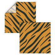 Tiger Stripes Black and Orange Animal Print Champs on Fading or Gradient Background