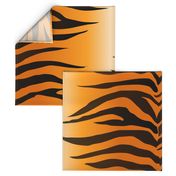 Tiger Stripes Black and Orange ,Gold Orange and Black Animal Print Champs on Fading or Gradient Background