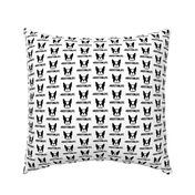 Boston Terrier fabric: #BOSTONLIFE