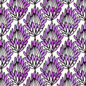 Australia Lilac Protea Text