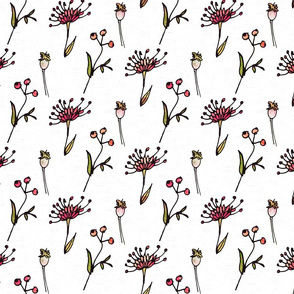 Australia Flowers Pink  watercolor