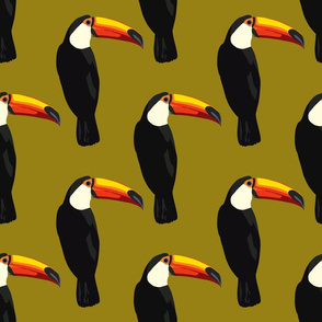 Talulah the toucan in olive green