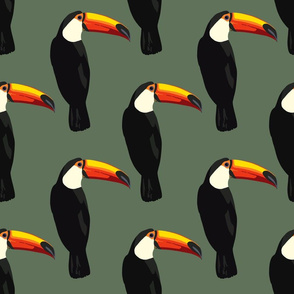 Talulah the toucan in spruce green