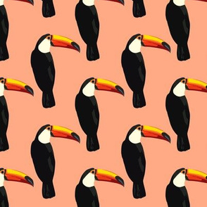 Talulah the toucan in coral- small