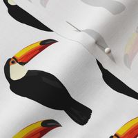 Talulah the toucan in white- small