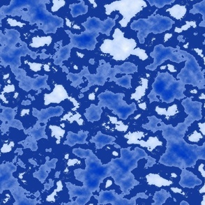 Camouflage in Blue