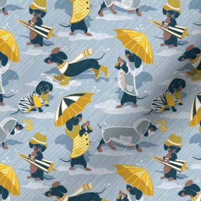 Tiny scale // Ready For a Rainy Walk // pastel blue background navy blue dachshunds dogs with yellow and transparent rain coats and umbrellas