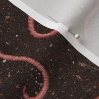 Worms in dirt