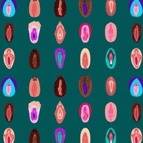 variety of vulvas- teal