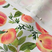 Watercolor Peaches // Small // White - Summer Fruit