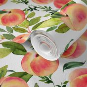 Watercolor Peaches // Small // White - Summer Fruit