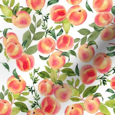 Watercolor Peaches // Small // White - Summer Fruit