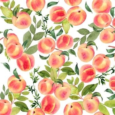 Download Peaches Fabric Wallpaper And Home Decor Spoonflower