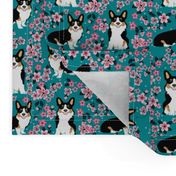 corgi tricolored cherry blossom fabric, sakura fabric, corgi fabric, corgi cherry blossom fabric, cute dog cherry blossoms - teal