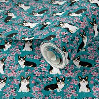 corgi tricolored cherry blossom fabric, sakura fabric, corgi fabric, corgi cherry blossom fabric, cute dog cherry blossoms - teal