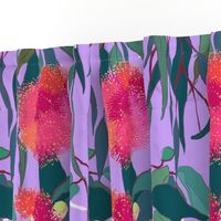 Australian Gumnut Eucalyptus Floral in Lilac Orchid