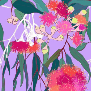 Australian Gumnut Eucalyptus Floral in Lilac Orchid