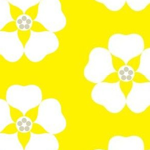 cestlavivid_lemon_blossom