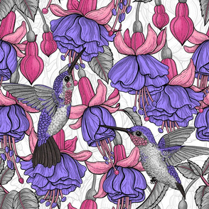 Fuchsia and hummingbirds