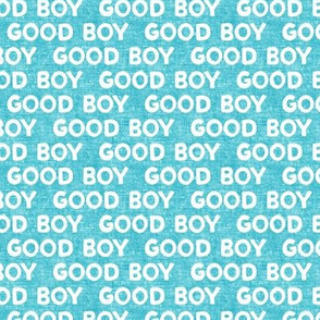 Good boy - dog - typography - light blue - LAD19