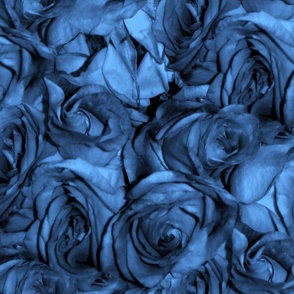 Blue Roses For a Red Lady