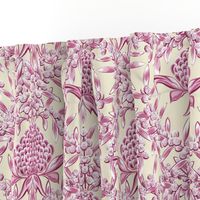 Waratah and Wattle Damask 