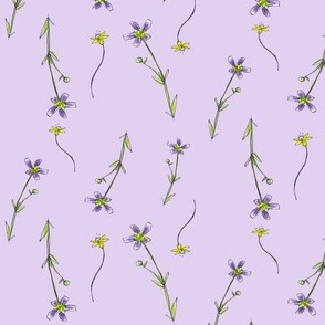 Lavender Little Wildflowers