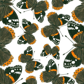 Red admiral butterfly  pattern