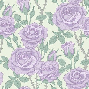 Roses violet