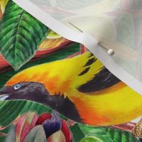 Pierre-Joseph Redouté tropicals Lush hawaiian exotic tropical vintage parrot Jungle with passiflora