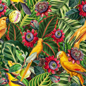 Pierre-Joseph Redouté tropicals Lush hawaiian exotic tropical vintage parrot Jungle with passiflora