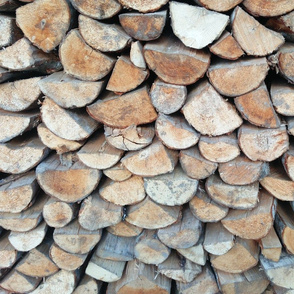 Firewood