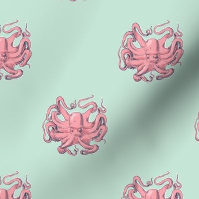 Pink Octopus on Mint