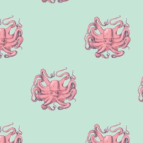 Pink Octopus on Mint