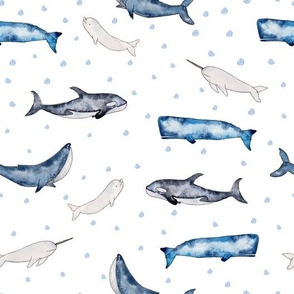 Watercolor ocean whales