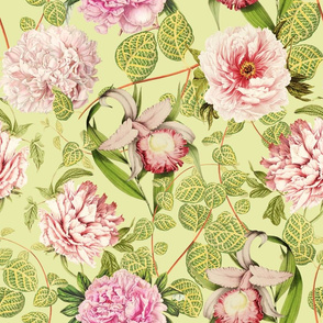 18" Pierre-Joseph-Redouté - Historic pastel Roses and Peonies fabric - redoute roses fabric - Mix and Match - on green