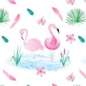flamingo pond
