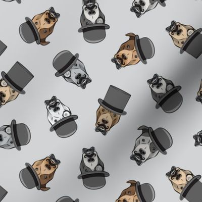 Dapper dogs - pit bull - top hat mustache - grey - LAD19