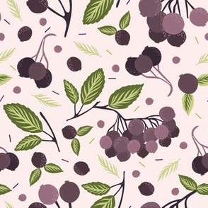  Realistic aronia berry illustration Seamless repeating pattern