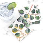 Simple Silver Dollar Eucalyptus Leaves