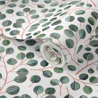 Simple Silver Dollar Eucalyptus Leaves on White - small