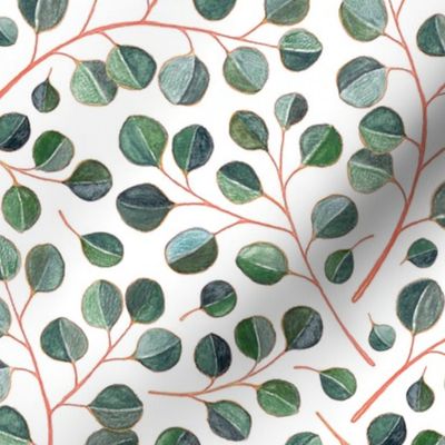 Simple Silver Dollar Eucalyptus Leaves on White - small