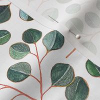 Simple Silver Dollar Eucalyptus Leaves on White - small