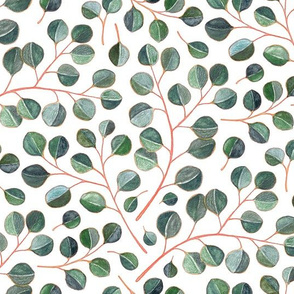 Simple Silver Dollar Eucalyptus Leaves on White - small