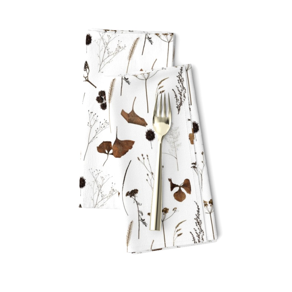 Dried Flowers // White